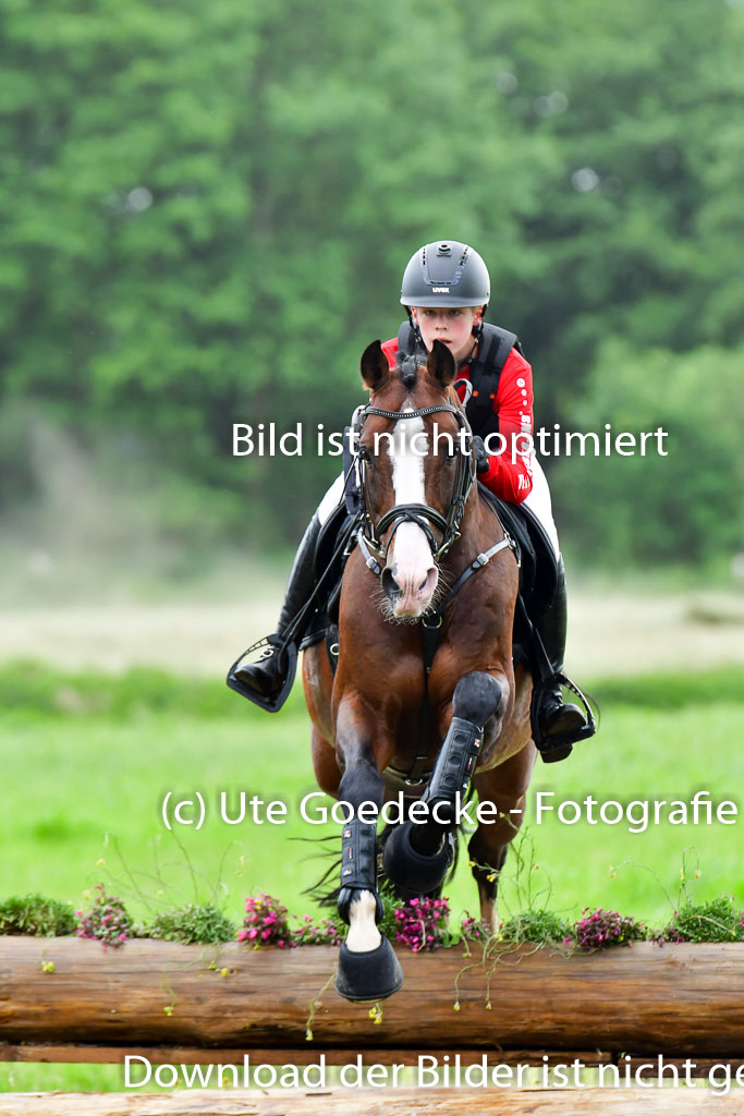 Goldene Schärpe PFerde  in Löningen  11+12.6.22 | 11062022 - Gelände 592 Abt