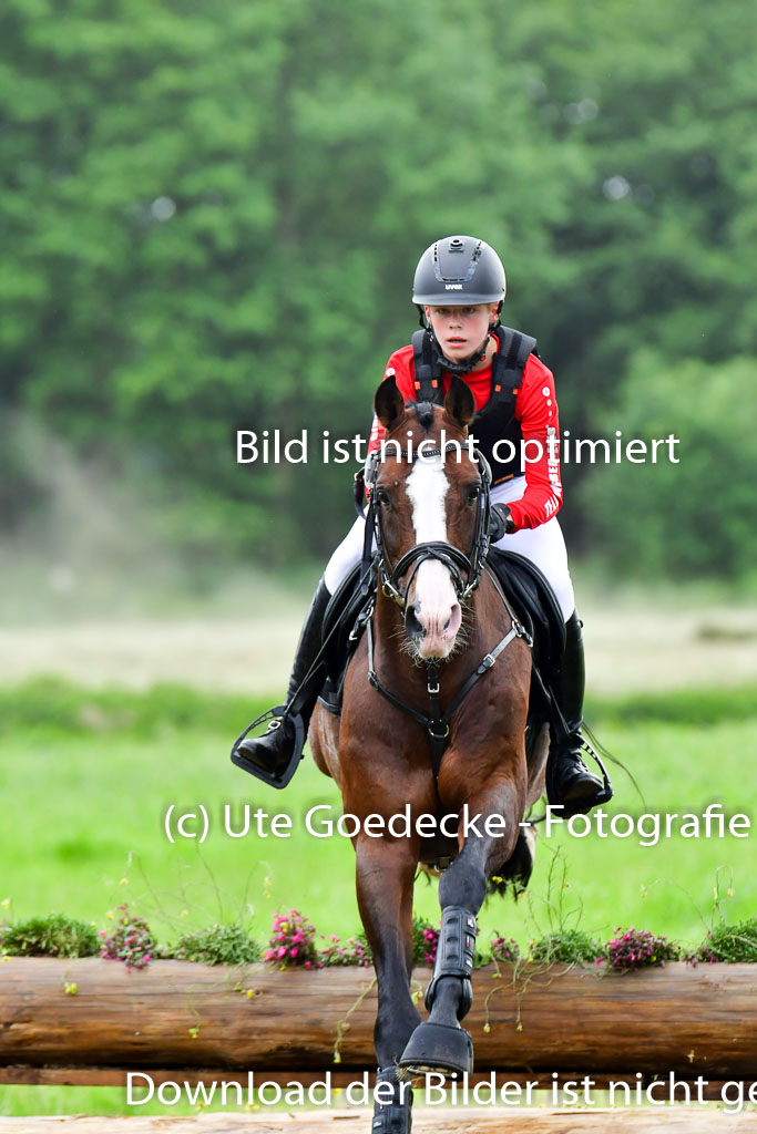 Goldene Schärpe PFerde  in Löningen  11+12.6.22 | 11062022 - Gelände 593 Abt