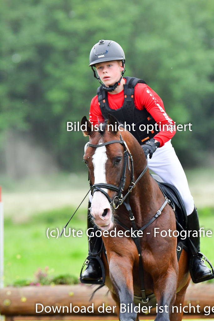 Goldene Schärpe PFerde  in Löningen  11+12.6.22 | 11062022 - Gelände 594 Abt
