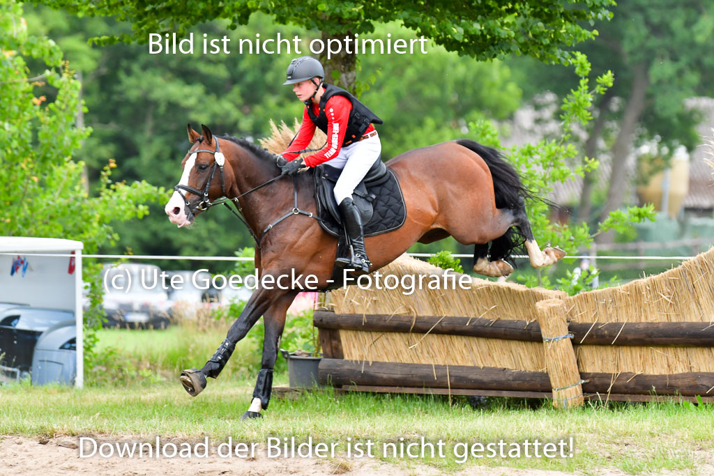 Goldene Schärpe PFerde  in Löningen  11+12.6.22 | 11062022 - Gelände 602 Abt 