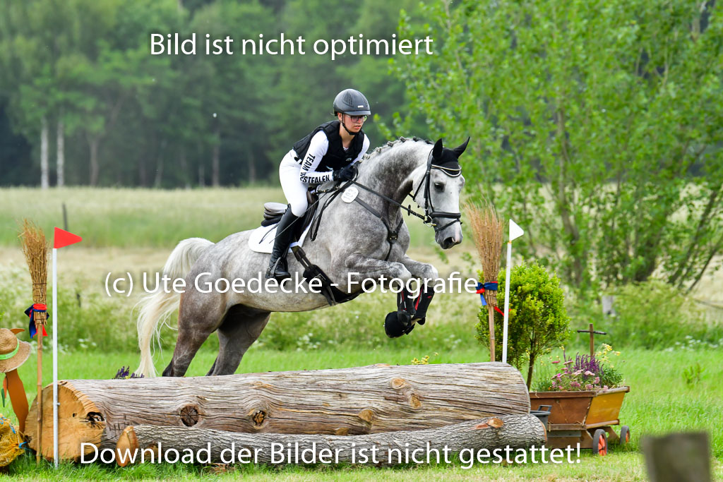 Goldene Schärpe PFerde  in Löningen  11+12.6.22 | 11062022 - Gelände 604 Abt 