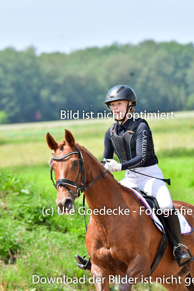 Goldene Schärpe PFerde  in Löningen  11+12.6.22 | 11062022 - Gelände 61 Abt 