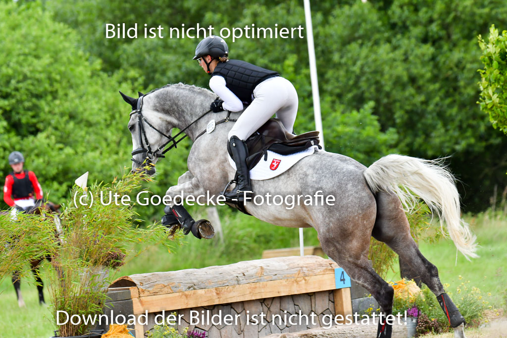 Goldene Schärpe PFerde  in Löningen  11+12.6.22 | 11062022 - Gelände 610 Abt