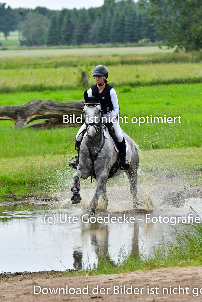 Goldene Schärpe PFerde  in Löningen  11+12.6.22 | 11062022 - Gelände 611 Abt 