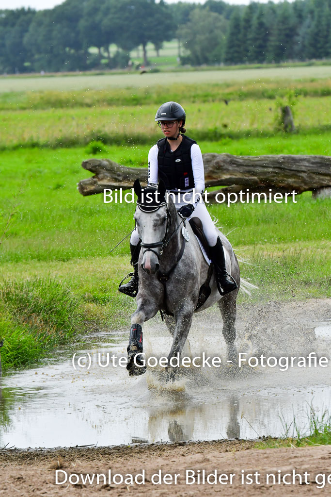 Goldene Schärpe PFerde  in Löningen  11+12.6.22 | 11062022 - Gelände 613 Abt 
