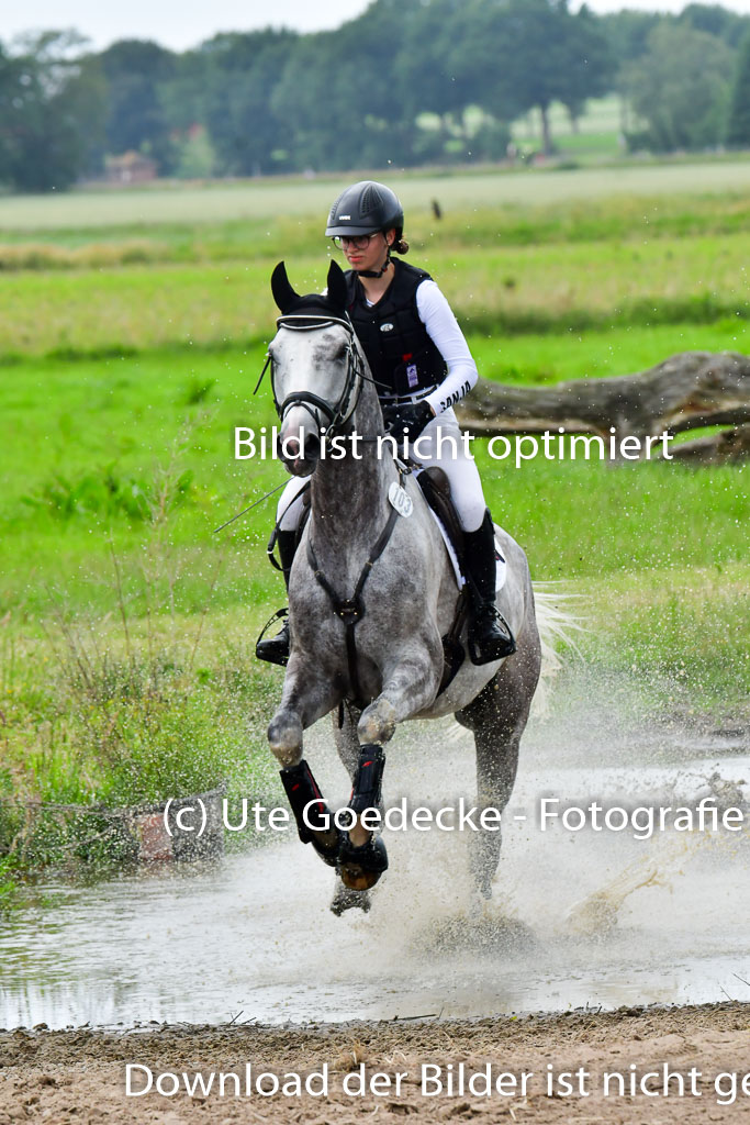 Goldene Schärpe PFerde  in Löningen  11+12.6.22 | 11062022 - Gelände 614 Abt 