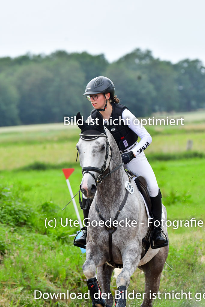 Goldene Schärpe PFerde  in Löningen  11+12.6.22 | 11062022 - Gelände 615 Abt 