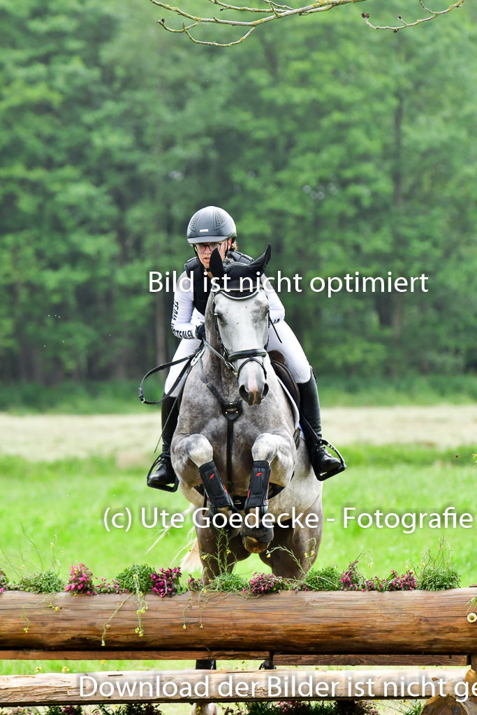 Goldene Schärpe PFerde  in Löningen  11+12.6.22 | 11062022 - Gelände 616 Abt 