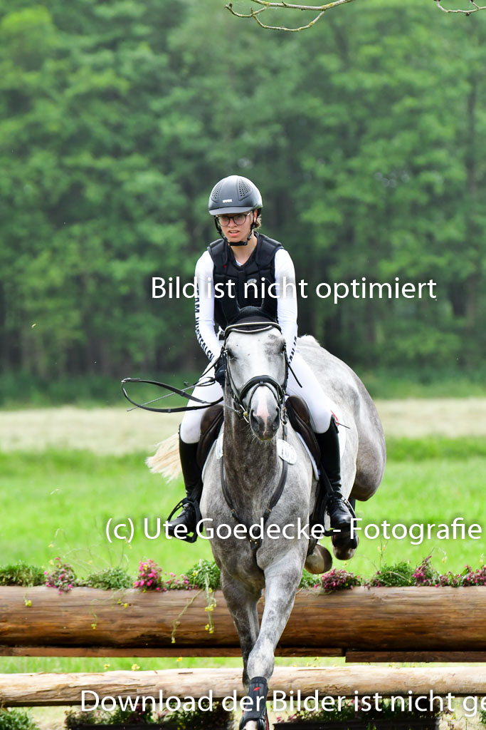 Goldene Schärpe PFerde  in Löningen  11+12.6.22 | 11062022 - Gelände 619 Abt 
