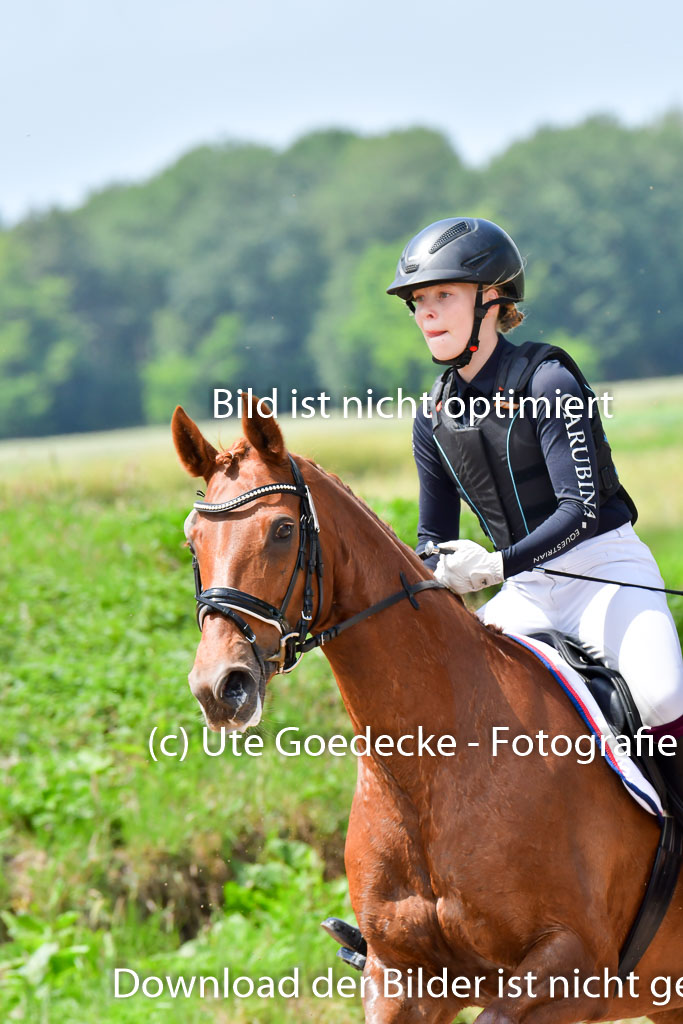 Goldene Schärpe PFerde  in Löningen  11+12.6.22 | 11062022 - Gelände 62 Abt