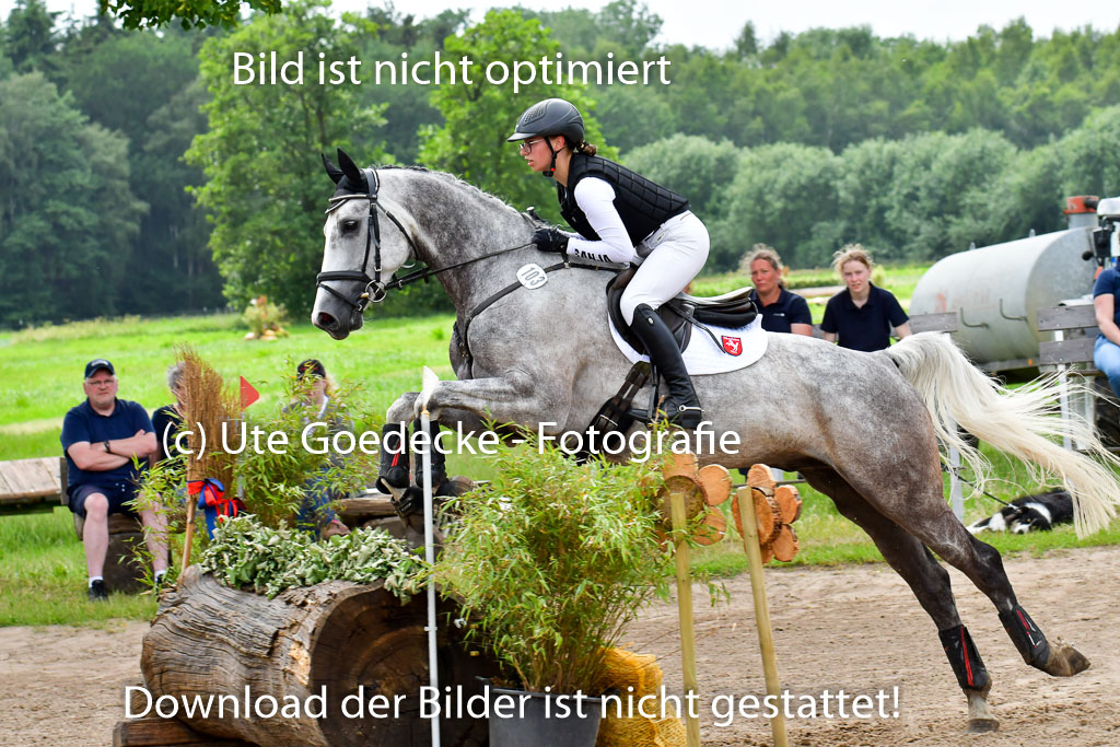 Goldene Schärpe PFerde  in Löningen  11+12.6.22 | 11062022 - Gelände 624 Abt 