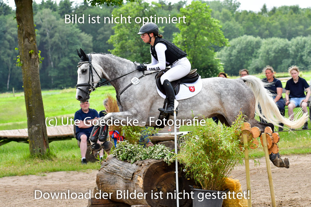 Goldene Schärpe PFerde  in Löningen  11+12.6.22 | 11062022 - Gelände 625 Abt 