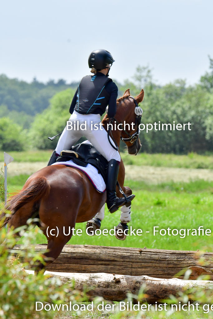 Goldene Schärpe PFerde  in Löningen  11+12.6.22 | 11062022 - Gelände 63 Abt 