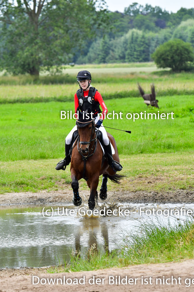 Goldene Schärpe PFerde  in Löningen  11+12.6.22 | 11062022 - Gelände 630 Abt 