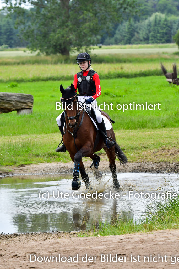 Goldene Schärpe PFerde  in Löningen  11+12.6.22 | 11062022 - Gelände 631 Abt 