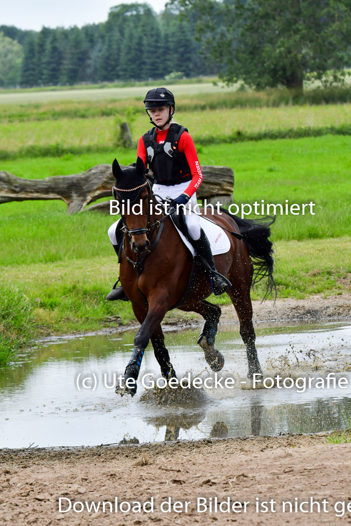 Goldene Schärpe PFerde  in Löningen  11+12.6.22 | 11062022 - Gelände 632 Abt 