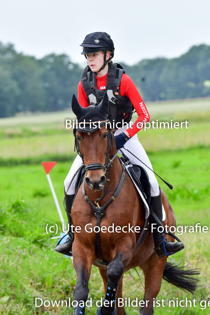 Goldene Schärpe PFerde  in Löningen  11+12.6.22 | 11062022 - Gelände 633 Abt 