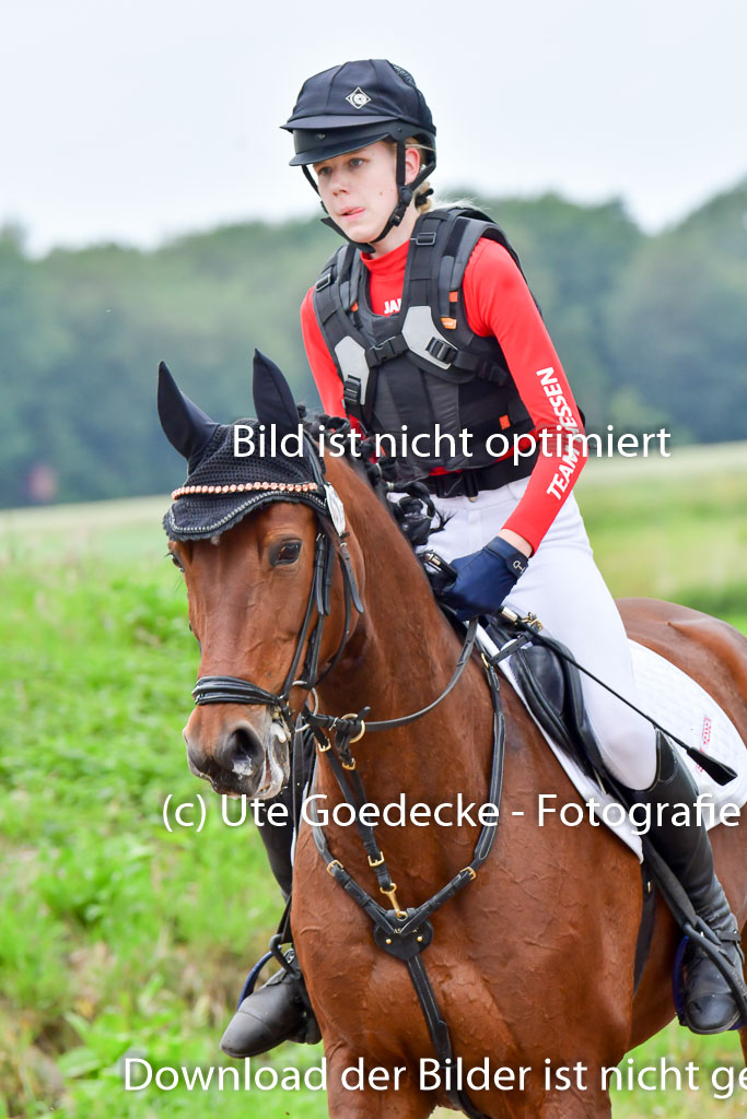 Goldene Schärpe PFerde  in Löningen  11+12.6.22 | 11062022 - Gelände 634 Abt