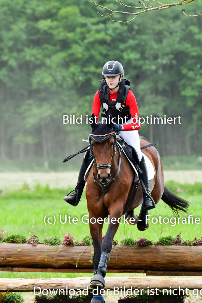 Goldene Schärpe PFerde  in Löningen  11+12.6.22 | 11062022 - Gelände 637 Abt 