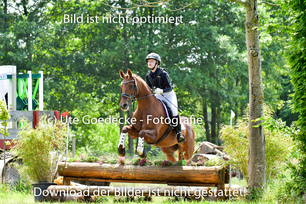 Goldene Schärpe PFerde  in Löningen  11+12.6.22 | 11062022 - Gelände 64 Abt