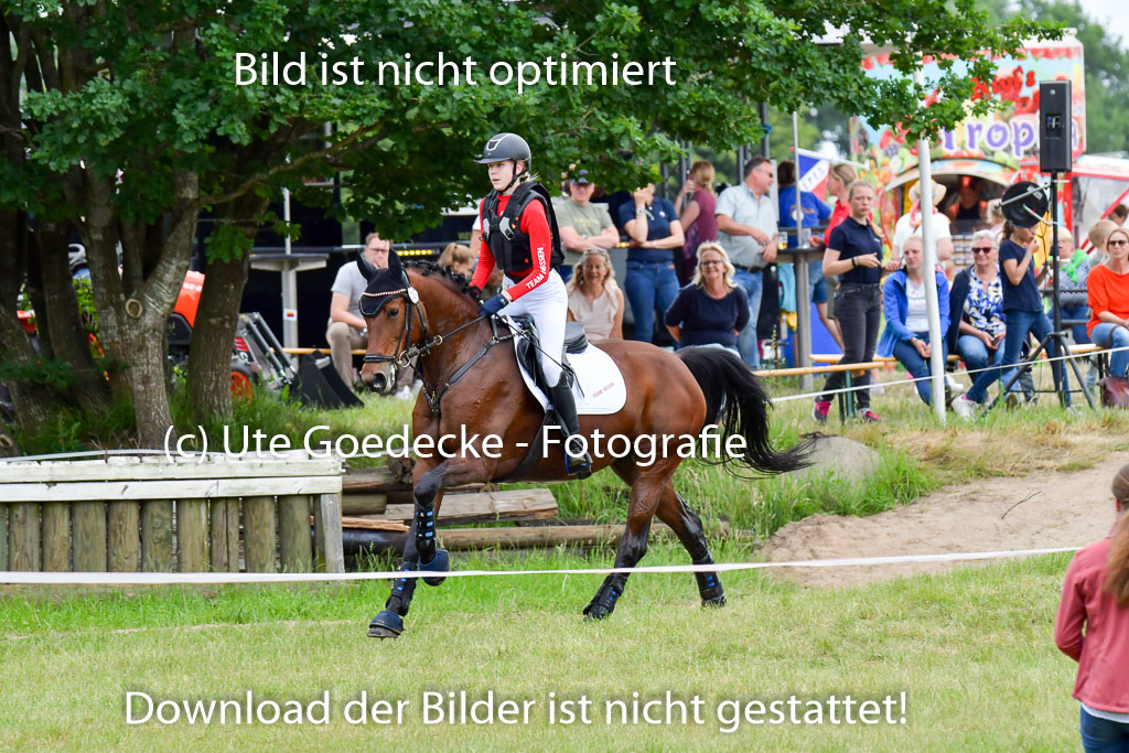 Goldene Schärpe PFerde  in Löningen  11+12.6.22 | 11062022 - Gelände 643 Abt 