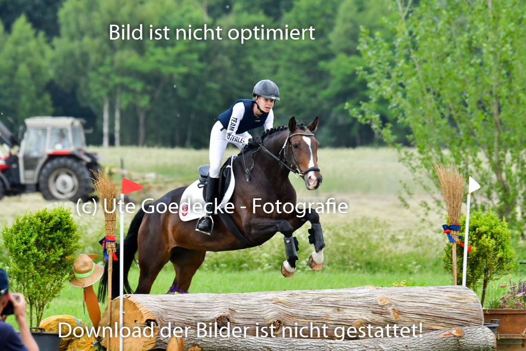 Goldene Schärpe PFerde  in Löningen  11+12.6.22 | 11062022 - Gelände 646 Abt