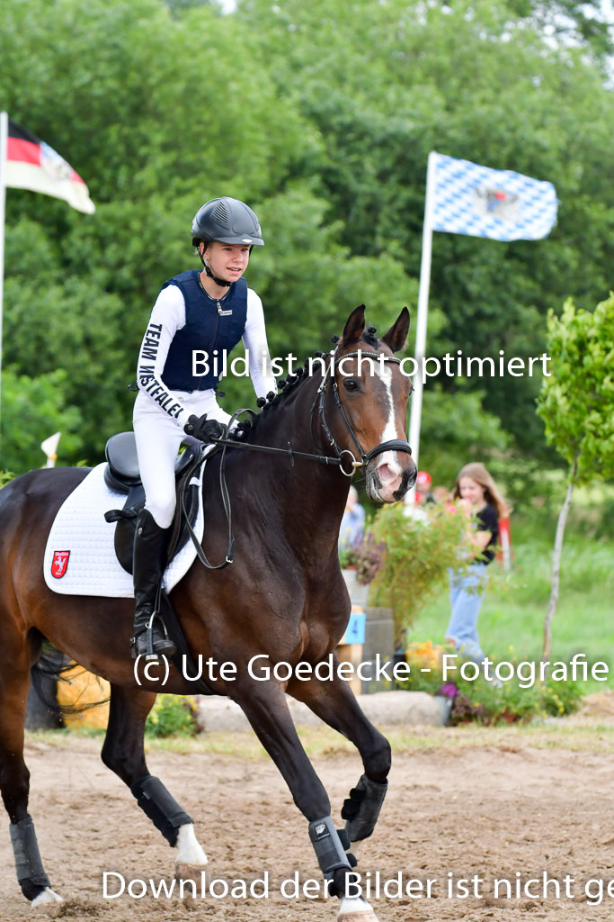 Goldene Schärpe PFerde  in Löningen  11+12.6.22 | 11062022 - Gelände 648 Abt 