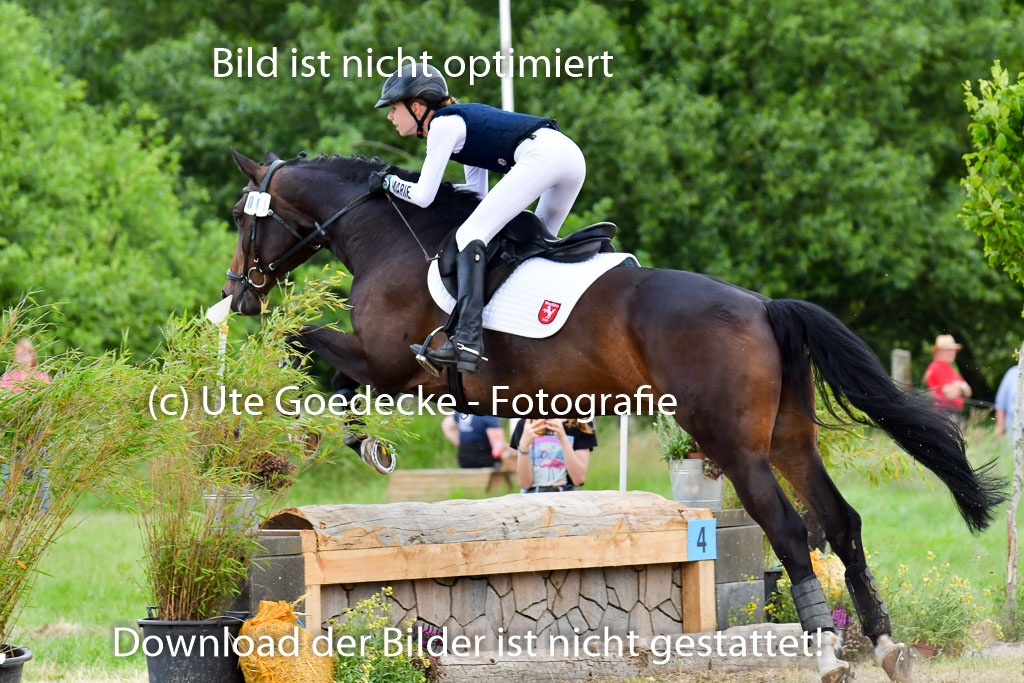 Goldene Schärpe PFerde  in Löningen  11+12.6.22 | 11062022 - Gelände 650 Abt