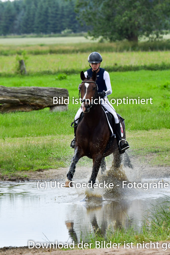 Goldene Schärpe PFerde  in Löningen  11+12.6.22 | 11062022 - Gelände 651 Abt 