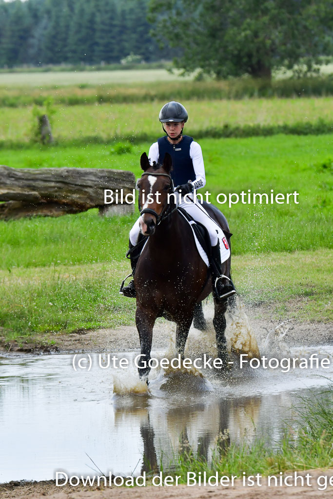 Goldene Schärpe PFerde  in Löningen  11+12.6.22 | 11062022 - Gelände 652 Abt