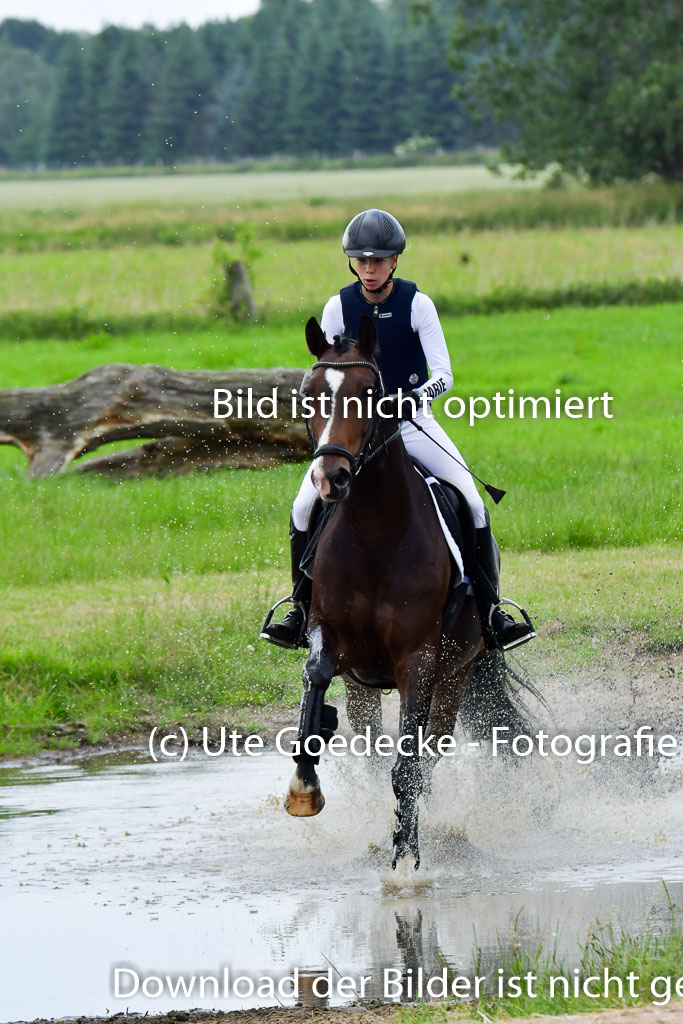 Goldene Schärpe PFerde  in Löningen  11+12.6.22 | 11062022 - Gelände 653 Abt 
