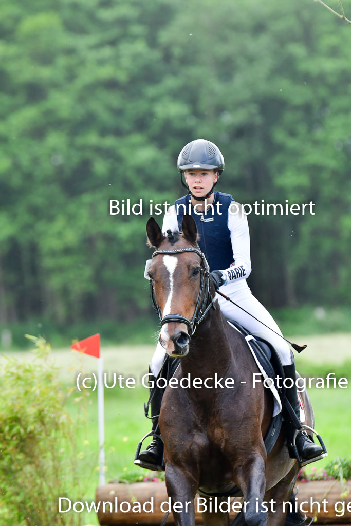 Goldene Schärpe PFerde  in Löningen  11+12.6.22 | 11062022 - Gelände 657 Abt