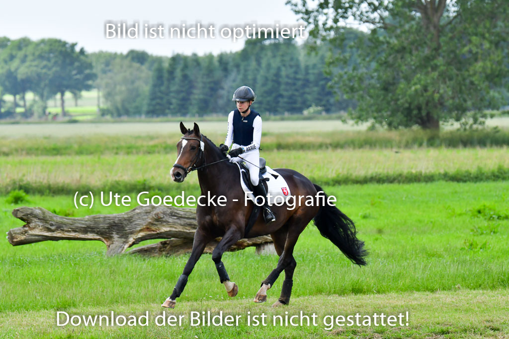 Goldene Schärpe PFerde  in Löningen  11+12.6.22 | 11062022 - Gelände 658 Abt 