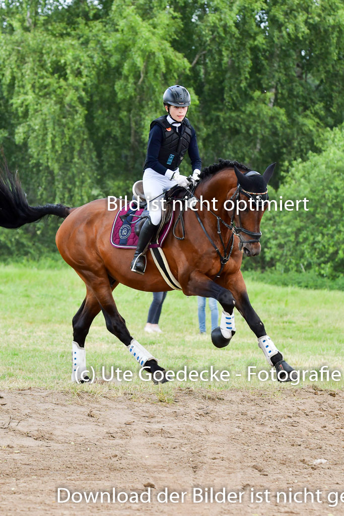 Goldene Schärpe PFerde  in Löningen  11+12.6.22 | 11062022 - Gelände 665 Abt