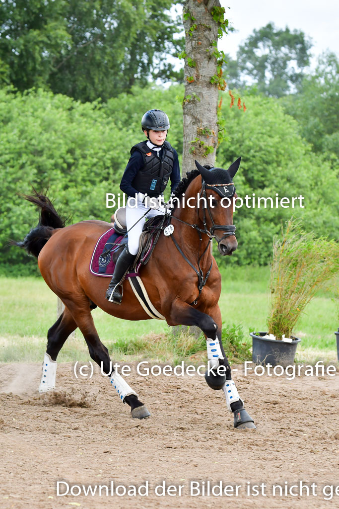 Goldene Schärpe PFerde  in Löningen  11+12.6.22 | 11062022 - Gelände 666 Abt 