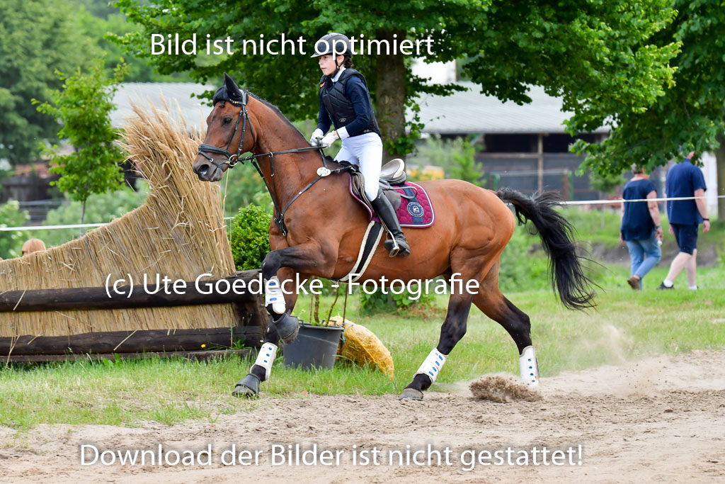 Goldene Schärpe PFerde  in Löningen  11+12.6.22 | 11062022 - Gelände 668 Abt 