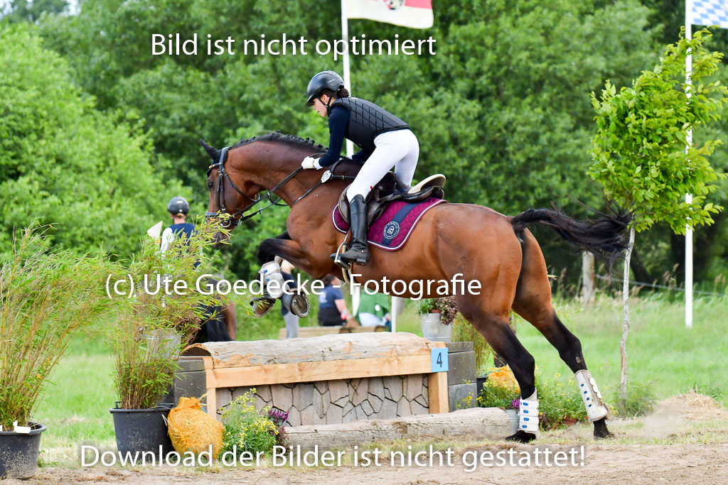 Goldene Schärpe PFerde  in Löningen  11+12.6.22 | 11062022 - Gelände 669 Abt