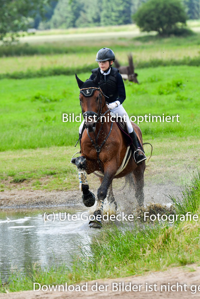 Goldene Schärpe PFerde  in Löningen  11+12.6.22 | 11062022 - Gelände 670 Abt 