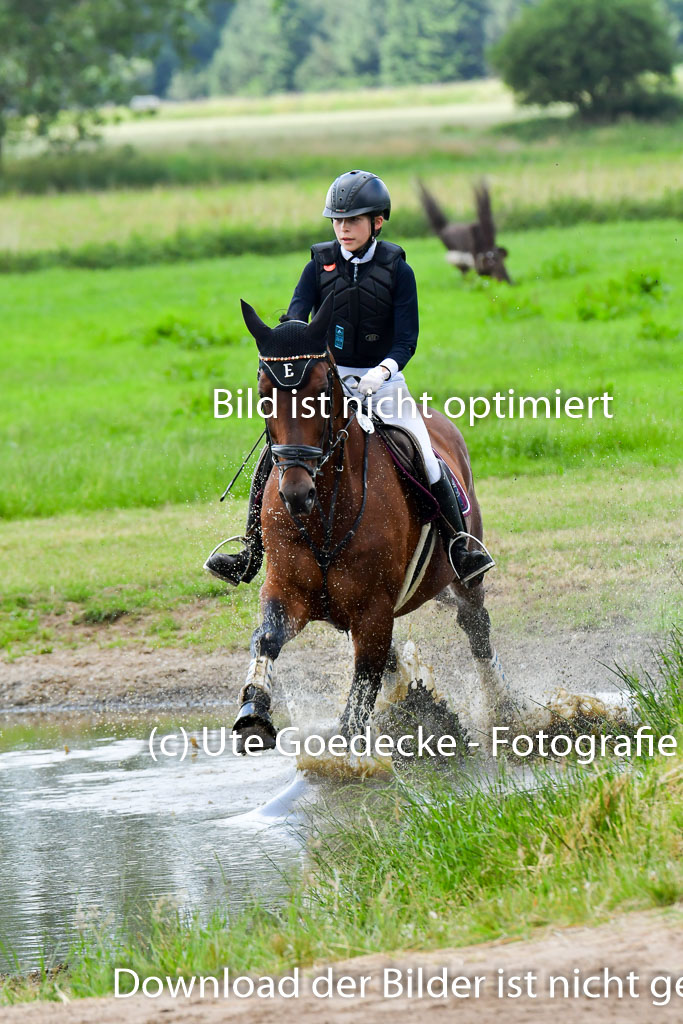 Goldene Schärpe PFerde  in Löningen  11+12.6.22 | 11062022 - Gelände 671 Abt 