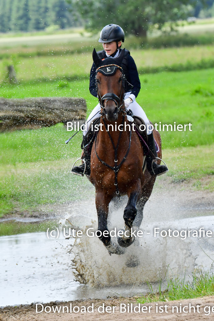 Goldene Schärpe PFerde  in Löningen  11+12.6.22 | 11062022 - Gelände 673 Abt