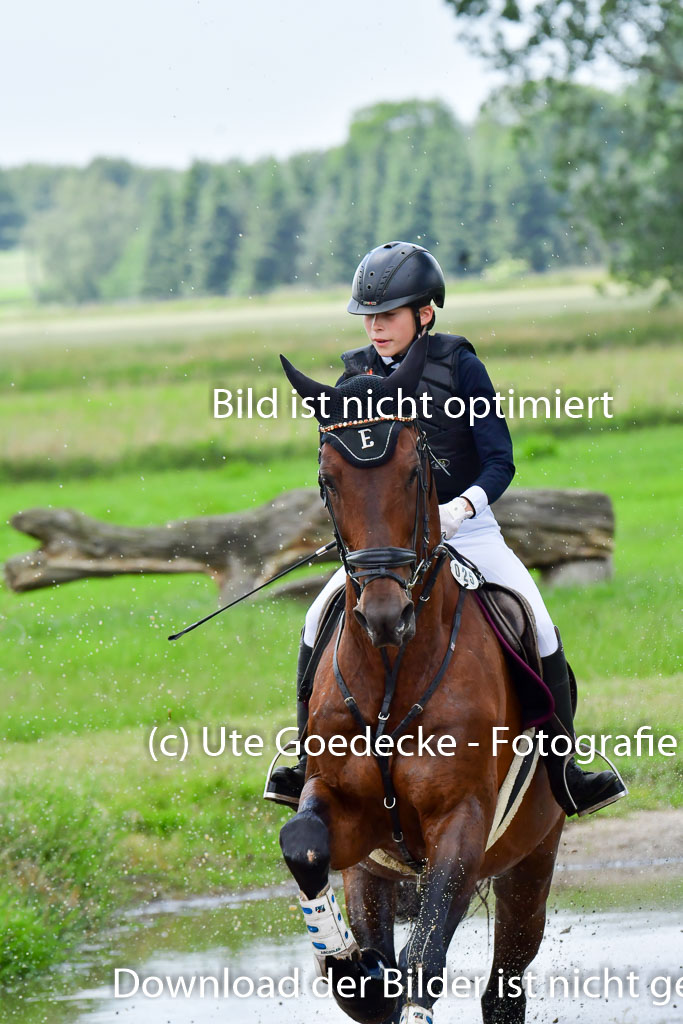 Goldene Schärpe PFerde  in Löningen  11+12.6.22 | 11062022 - Gelände 675 Abt 