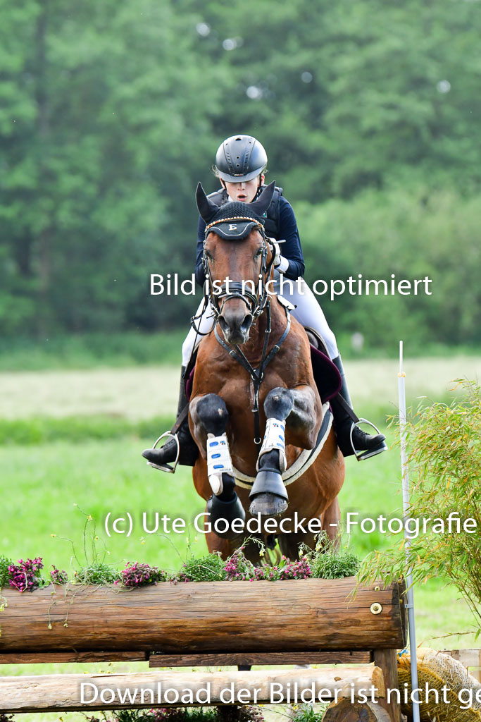 Goldene Schärpe PFerde  in Löningen  11+12.6.22 | 11062022 - Gelände 677 Abt 