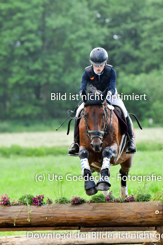 Goldene Schärpe PFerde  in Löningen  11+12.6.22 | 11062022 - Gelände 679 Abt 