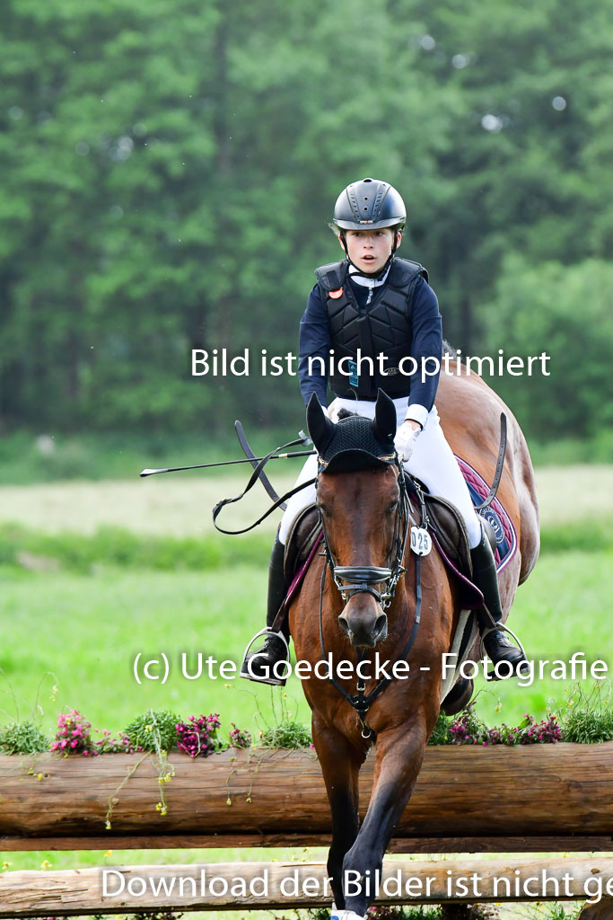 Goldene Schärpe PFerde  in Löningen  11+12.6.22 | 11062022 - Gelände 680 Abt 