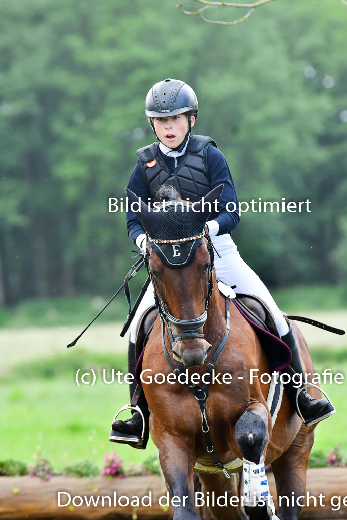 Goldene Schärpe PFerde  in Löningen  11+12.6.22 | 11062022 - Gelände 681 Abt 