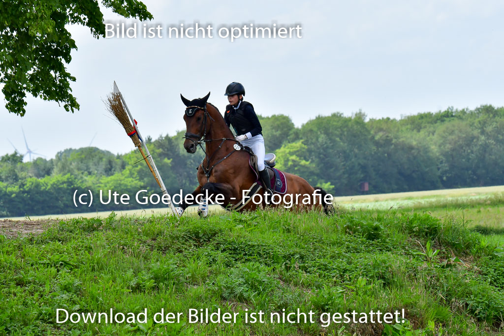 Goldene Schärpe PFerde  in Löningen  11+12.6.22 | 11062022 - Gelände 683 Abt 