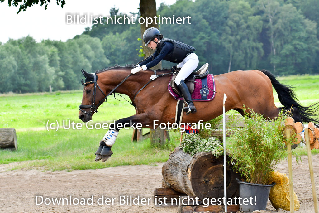 Goldene Schärpe PFerde  in Löningen  11+12.6.22 | 11062022 - Gelände 686 Abt