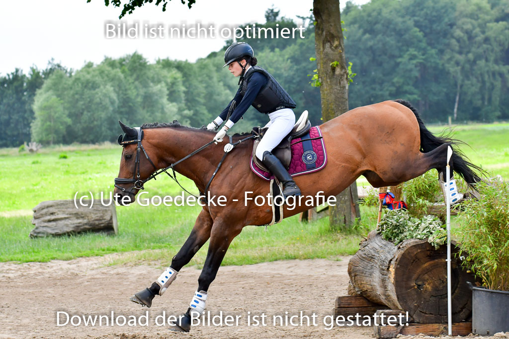 Goldene Schärpe PFerde  in Löningen  11+12.6.22 | 11062022 - Gelände 687 Abt 