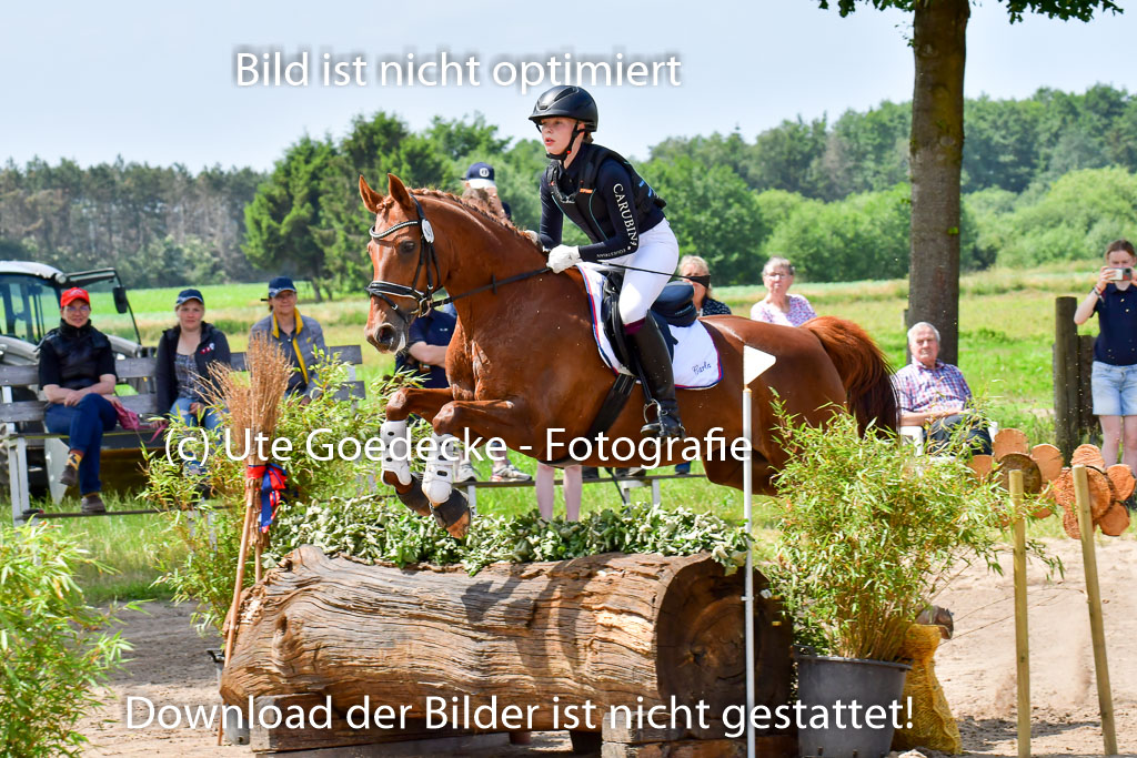 Goldene Schärpe PFerde  in Löningen  11+12.6.22 | 11062022 - Gelände 69 Abt