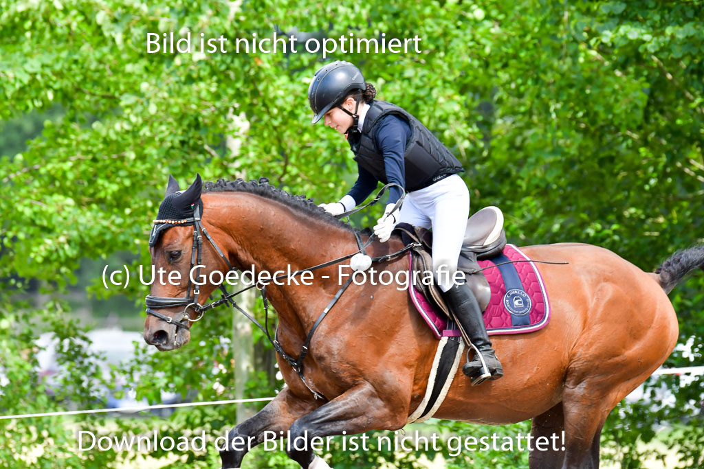 Goldene Schärpe PFerde  in Löningen  11+12.6.22 | 11062022 - Gelände 690 Abt